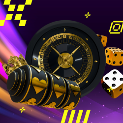 cricket betting live